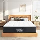 Queen Mattress 10 Inch Hybrid Mattress in a Box, Medium Firm Memory Foam with Individually Pocketed Innerspring, Breathable Knit Cover, Motion Isolation (Queen (U.S. Standard), 12, 12, Inches)