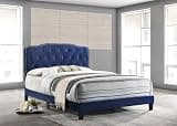 First of a Kind Queen Bed Frame, Velvet Upholstered Panel Bed with Tufted Headboard, Silver Nailhead Trim, Navy Blue Finish, Traditional Bedroom Furniture