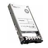 Dell 3.84TB SAS 12Gb/s 3D TLC 1DWPD 2.5in Enterprise PowerEdge Read Intensive SSD for R630 R730 R730xd R620 R720 R720xd R610 R710 R830 R930 0FP1KF G13 (Renewed)