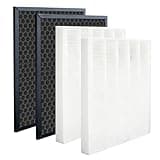 2 Sets 5510 Filter Q Replacement Fit for Winix 5510 5520 Air Purifier, H13 True HEPA & Activated Carbon Filters, #1712-0123-00, Captures Pet Dander, Smoke, Dust