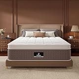 Queen Mattress, 14 Inch Luxury Hybrid Queen Size Mattress in a Box, Cooling Gel Memory Foam Mattresses with Individual Pocket Springs, Medium Firm Feel, Pressure Relief, Edge Support, 365-Night Trial