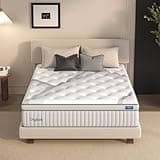 DIGLANT 14 Inch Plush Hybrid Queen Mattress - Memory Foam with Individually Pocketed Coils Innerspring, Motion Isolation & Back Pain Relief - Mattress in Box