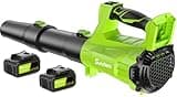 Leaf Blower Cordless with 2 x Battery and Charger, 680CFM 260MPH Electric Blower with 2 Speeds, 20V Handheld Leaf Blower for Lawn Care, Blowing Leaves, Dust, Snow, Gravel for Patio, Yard, Green