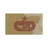 Air Force Transportation (SR) OCP Spice brown SEW-ON badge