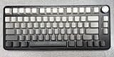 HUO JI Wireless Mechanical Gaming Keyboard, 75% Hot Swappable Design, RGB Backlit, Pre-lubed Red Switches, Side Printed PBT Keycaps, Volume Knob, 2.4GHz/USB-C/BT5.0 Tri-Mode, Black