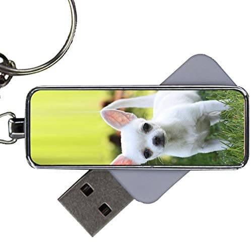 with Chihuahua for Women Original Metal On USB Disk Capacity 8Gb