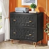 File Cabinet with 2-Drawer Accommodates Hanging Letter Size Files