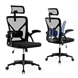 Nexthro Office Chair,Ergonomic Desk Chair with Adjustable Lumbar Support,400 Lbs Mesh Computer Chair High Back with Headrest for Home Office (Black)