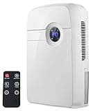 Mini Dehumidifier 2.5L Tank 42W, Portable Home Dehumidifier for 10-20㎡ Rooms, Small Bedroom Dehumidifier with Remote Control, LCD Display, Auto Shut Off, Timer for Home Office Bathroom Closet