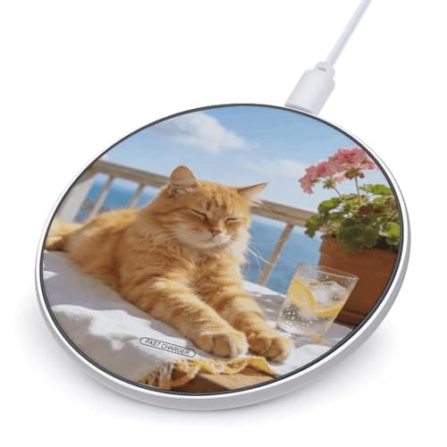 Lazy Summer Days Wireless Charger 10W Fast Wireless Charging Pad Slim Portable Charging Station for Phone Lightweight Charger Mat for Travel Home Office Desk