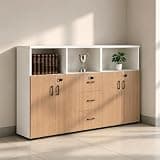 YCZYCZ Lateral File Cabinet with Lock, Metal Office Storage Cabinet, 2 Drawer Lateral File Cabinets for Home Office, A4 Letter Size, Heavy Duty Steel Filing Cabinet for Documents Storage