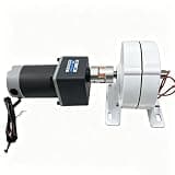 600W Output 3 Phase AC Permanent Magnet Generator With DC Electric Motor (48V)