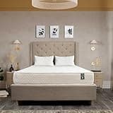 Queen Mattress 8 Inches White - Visco Elastic Foam Comfort Layer High Density Foam Mattress Premium Polyester Top Cover Queen Size Mattress Bed Rolled in A Box