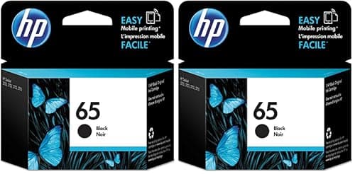 HP 65 Black Ink Cartridge, Works with AMP 100, DeskJet 2600, 3700; Envy 5000, Eligible for Instant Ink, N9K02AN (Pack of 2)