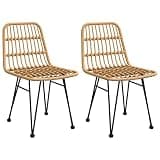 DXKDUSOKJ Stylish PE Rattan Garden Chairs 2 Pcs with Steel Frame, 18.9x24.4x33.1 Inch Outdoor Seating for Patio Balcony