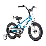 Royalbaby Freestyle Outdoor Children's Bicycle, Coaster Brakes Sporty Kid Bike with Training Wheels and Adjustable Seat, 16 Inch, Blue
