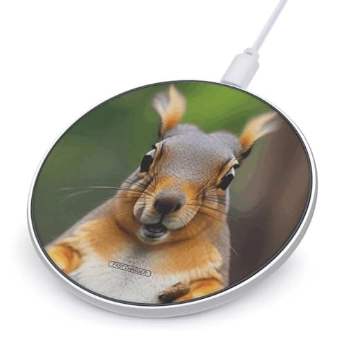 Squirrel Funny Animal Wireless Charger 10W Max Fast Wireless Charging Pad Lightweight Charging Station Portable Ultra Slim Charger Mat for Most Phone for Travel Home Office Desk