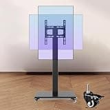 LBAawxe Mobile TV Cart on Wheels - Portable Floor TV Stand Holds, Horizontal and Vertical Screen Fixed, Up to 100kg
