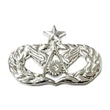 Insignia Depot A.F. Civil Engineer (Senior) Large Badge