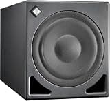 Neumann KH 810 II Powered Subwoofer