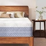 AMONIDA Memory Foam Mattress, Fiberglass Free, Medium Firmness, Cooling Gel Foam, Certified Safe Foams & Fabric, Mattress in A Box (10 Inch Queen Size Gradient)