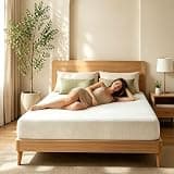 Breathable Foam Mattress, Air Circulation Design, Stay Cool Throughout the Night (10 Inch, Queen (U.S. Standard))