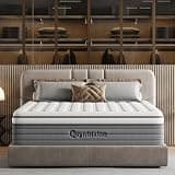 12 Inch Queen Mattress, Queen Size Mattresses (Queen (U.S. Standard))