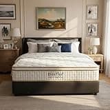 2 Queen Mattress 10 Inch, Hybrid Mattress in a Box with Cooling Tencel Cover, Fiberglass Free Medium Firm Bed for Back Pain Relief, Breathable Waffle Design with Edge Support (10 Inch, Queen)