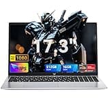 MALLRACE Gaming Laptop,Ryzen 3 4300U (Beat AMD Ryzen 5 3500U,up to 3.7GHz) 16GB DDR4 RAM 512GB SSD Business Laptop with Webcam,Type-C,62.7Wh Battery,Numeric KB,Silver