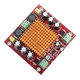 Jenivaint Amplifier Board,150W Mono Digital Amplifier Board, TPA3116D2 Power Amp Module with Over Voltage Under Voltage Overheat Short Circuit Protection, for Car Audio Home Theater