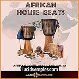 Samples Download African House Beats - Modern Sounding Drum Loops, Drum Samples and Percussion Samples for House. Sample Pack Include Over 300 | WAV Files Download