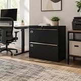 PeacefulHues 2 Drawer Lateral File Cabinet with Lock, Metal Filing Cabinet for Legal Letter and A4 Files, Black Cold Rolled Steel Office Storage Cabinet, Compact Lockable File Organizer