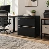 PeacefulHues 2 Drawer Lateral File Cabinet with Lock, Metal Filing Cabinet for Legal Letter and A4 Files, Black Cold Rolled Steel Office Storage Cabinet, Compact Lockable File Organizer