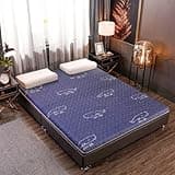 Futon Mattresses,Thickened Futon Soft Floor Portable Mattress,Single Double Japanese Futons,Coconut Palm Latex Mattress Student Dormitory Palm Mat,C,180x200cm