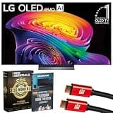LG 65 inch OLED evo AI C6 4K Smart webOS TV (2026) OLED65C6PUA Bundle with Deco Essentials CPS Exclusive 26 Month Protection, 2X HDMI Cable & Deco Gear Home Theater Beginner′s Guidebook