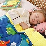 Uttermara Weighted Blanket 3 lbs,Ultra Cozy Minky Fleece and Cotton Sided with Cartoon Patterns, Reversible Heavy Blanket Great for Sleeping, 36x48 inches, Blue Dinosaur Park