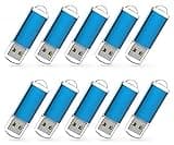 RAOYI 10 Pack 1GB 1G USB Flash Drive USB 2.0 Memory Stick Bulk Thumb Drive Pen Drive Blue