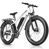 Funhang Electric Bike for Adults, 1000W Peak Ebike, 20MPH 60Miles Electric Mountain Bike, 26" Fat Tire Electric Bicycle with 48V 13AH Battery, Front Suspension,7 Speed, Rear Rack, UL 2849 Certified