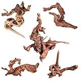 majoywoo Natural Small Coral Driftwood for Aquarium Decor Fish Tank Decorations, Assorted Driftwood Branch 4.5-7.5" 5 Pcs, Reptile Decor
