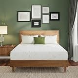 EGO Home 14 Inch Queen Mattress, Cooling Green Tea Gel Memory Foam for Pressure Relief, Medium Plush, Fiberglass Free, Bed in a Box, CertiPUR-US Certified