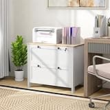 File Cabinet with Adjustable Hanging bar to Hold Letter, A4 and Legal Sized Files