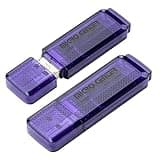 INLAND Micro Center Super Speed 64GB 2-Pack Ultra Flash Drive USB 3.0/USB 3.1 Gen1 Memory Stick with Keychain Thumb Drive Photo Stick Jump Drive