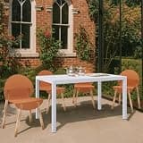Modern Indoor Outdoor Dining Set with Ergonomic Chairs and Long Table