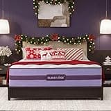 King Mattress, 14 Inch Plush Hybrid Mattress with Stronger Edge & Zone Support, Cooling-Gel Memory Foam & Pocket Springs, Motion Isolation, Fiberglass-Free, CertiPUR-US Certified, 365-Night Trial