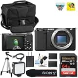 Sony Alpha ZV-E10 (Body Only) Vlog Camera (Black)| APS-C Sensor | Compact Creator Tool, 24.2 MP APS-C Sensor, 4K Video, Vari-Angle Screen + Spare Extra Battery + 64GB Card + Camera Case