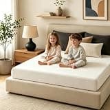 Back Pain Relief Mattress, Ergonomic Memory Foam, Professional Body Support (10 Inch, Queen (U.S. Standard))