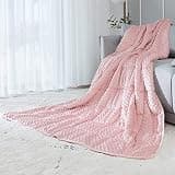 ALANSMA Reversible Weighted Blanket for All Season, Luxury Velvet, Warm and Cool, Adult Pink 7Lb Weighted Blanket, Enjoy Sleeping Anywhere(Pink,40"x60" 7lbs)