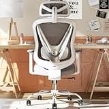 HOLLUDLE Ergonomic Mesh Office Chair - 3D Adjustable Lumbar Support & 3D Armrests, V-Shaped Back, Adjustable Desk Chair for Office & Home, White