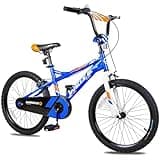 WEIZE Kids Bike, 20 Inch Children Bicycle for Boys Girls Ages 6-12 Years Old, Rider Height 48-60 Inch, Coaster Brake, Multiple Color Options