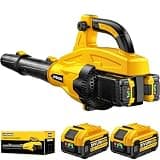 LITEKON Leaf Blower Cordless, Brushless 765CFM & 13 Speed Modes, Electric Cordless Leaf Blowers with 2 x 5.0Ah Batteries and Charger, 21V Powerful Blowers for Lawn Care, Blowing Leaves, Dust, Snow